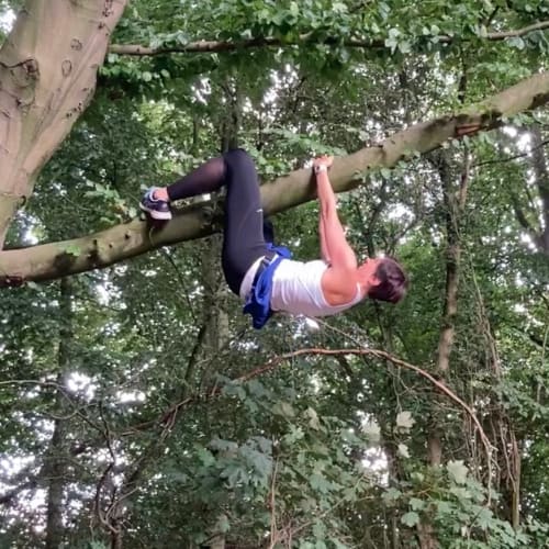 Ros Hanging From Tree